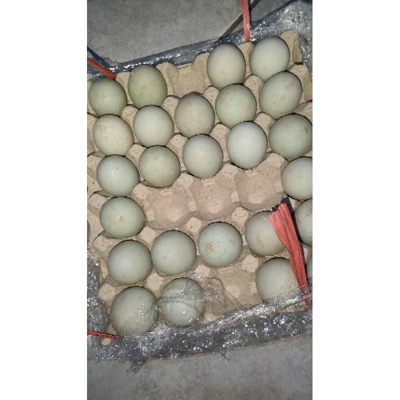 

TELUR BEBEK - 1btr