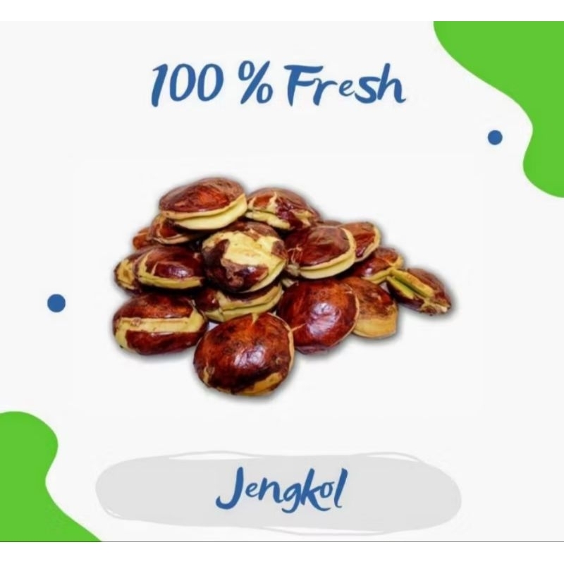 

JENGKOL TUA KECIL-KECILAN 1 KG