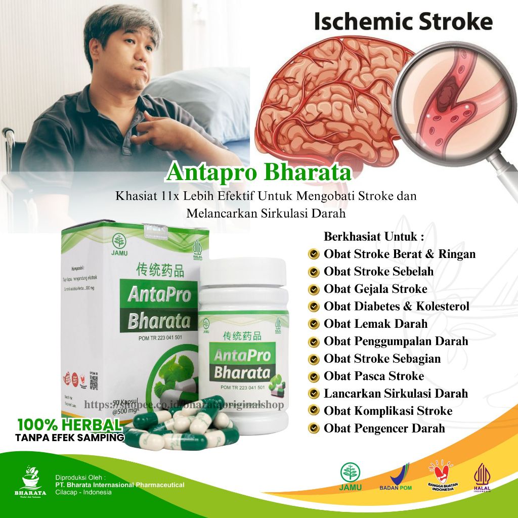 Obat Stroke Sebelah Obat Gejala Stroke Ampuh ANTAPRO BHARATA Original Obat Stroke Menahun Bpom Halal