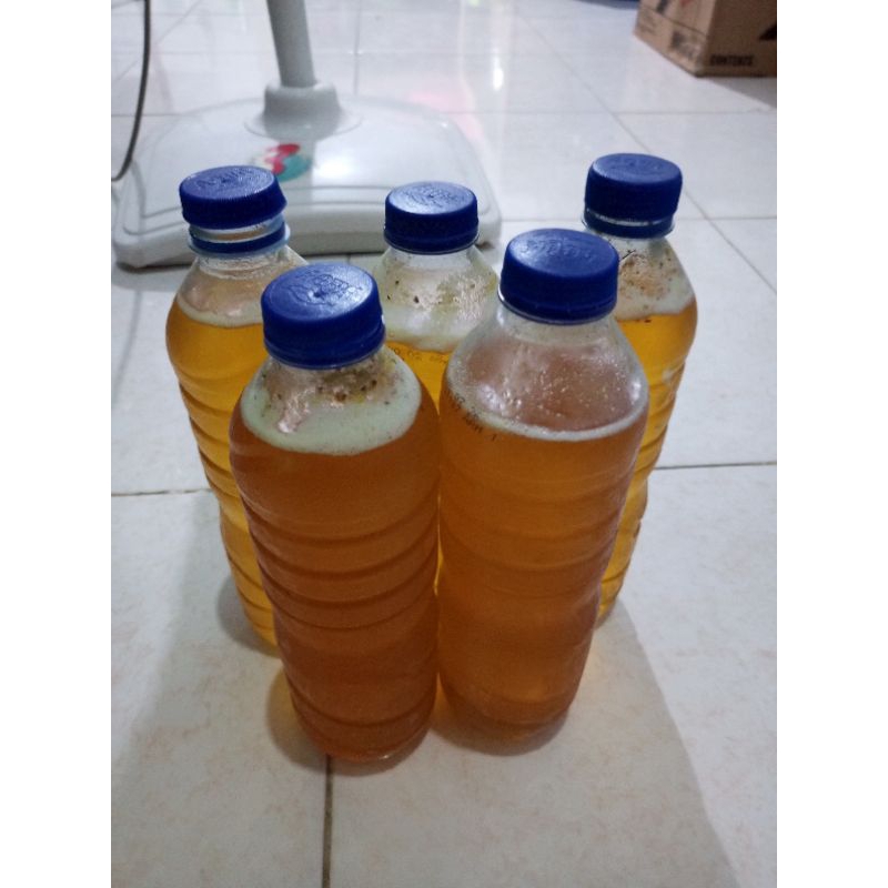 

Madu Asli Sulawesi