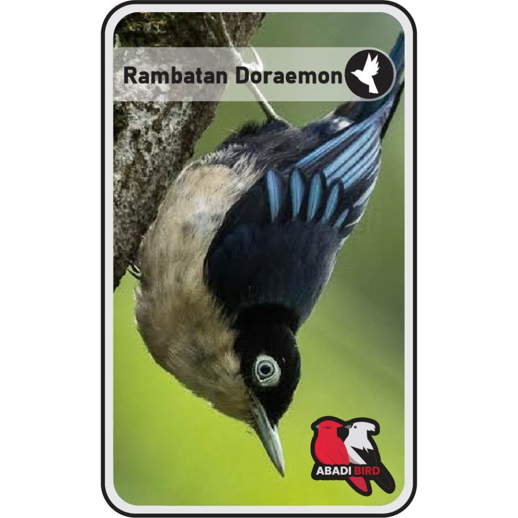 Abadi Bird Rambatan Doraemon
