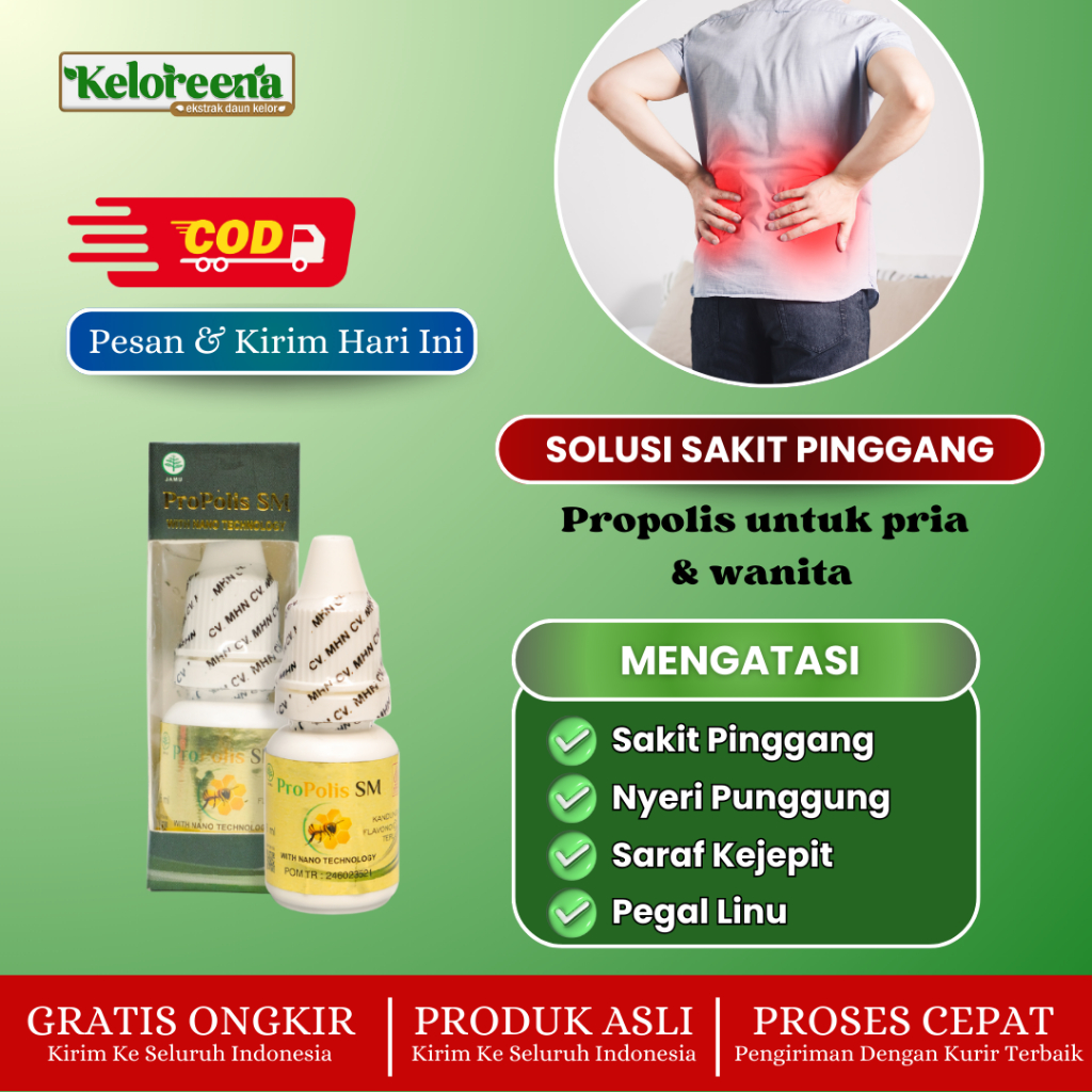 Propolis SM Brazil – Herbal untuk Nyeri Pinggang, Saraf Kejepit, Asam Urat, Rematik & Sakit Punggung