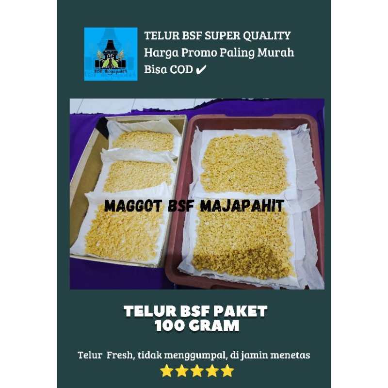 PROMO TELUR BSF PREMIUM QUALITY PAKET 100 GRAM