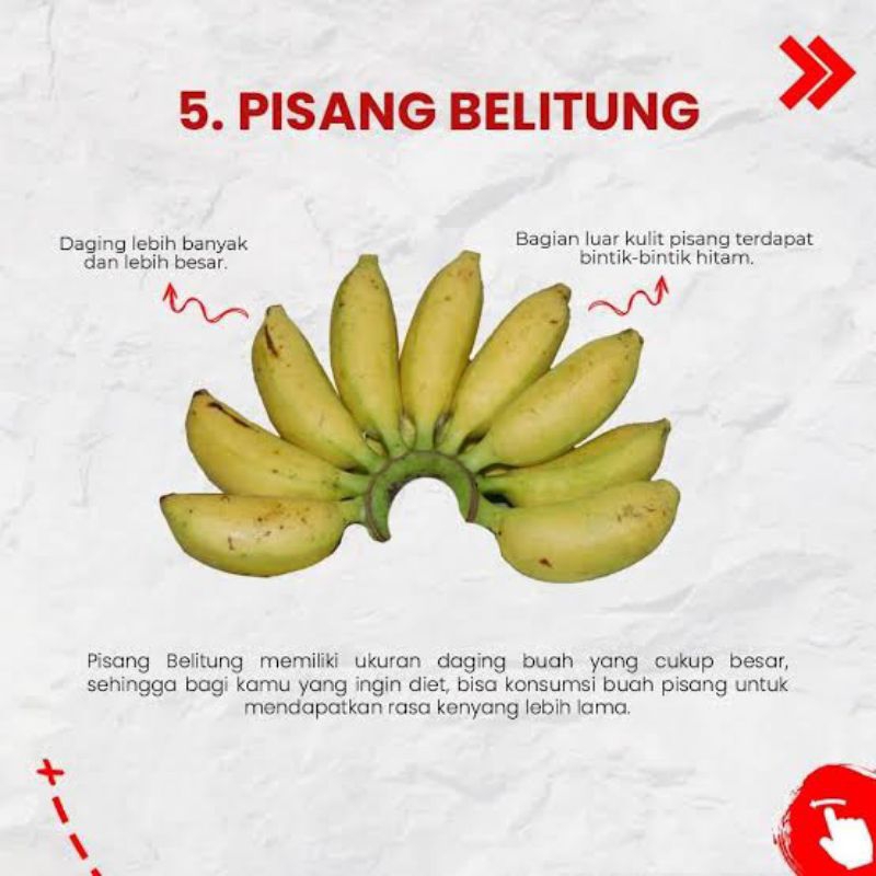 

pisang belitung 1 sisir
