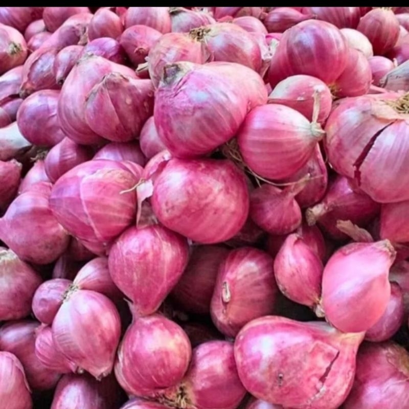 

bawang merah besar/kecil