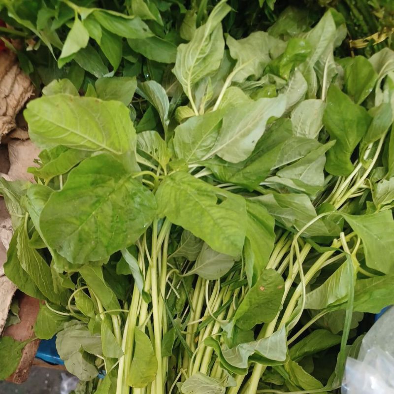 

Sayur Bayam