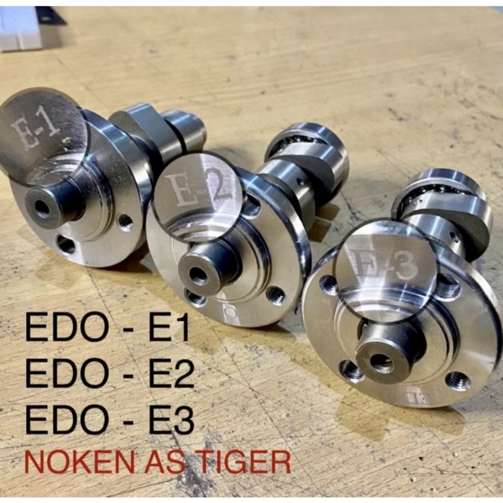 noken as TIGER dan noken as EDO-E-1 EDO-E-2 EDO-E-3 garapan