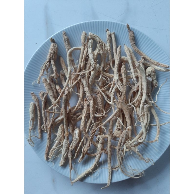 

Akar Ginseng Premium 50gram/ Yang Shen Xu/ Yio Sim Chiu 50gram