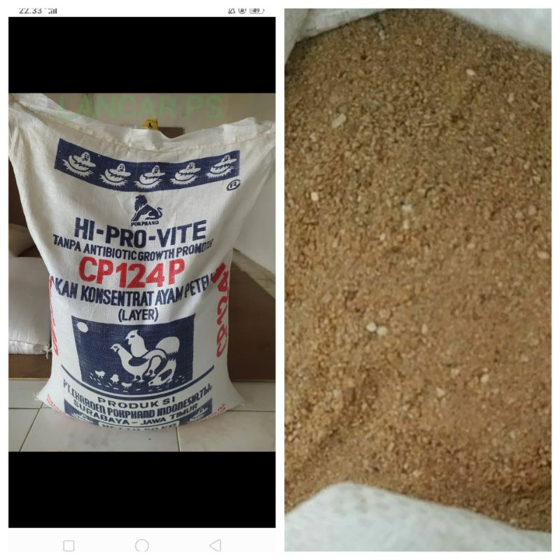 Hi Pro Vite Pakan Ayam Petelur CP124P Konsentrat Ayam Petelur 5 Kg