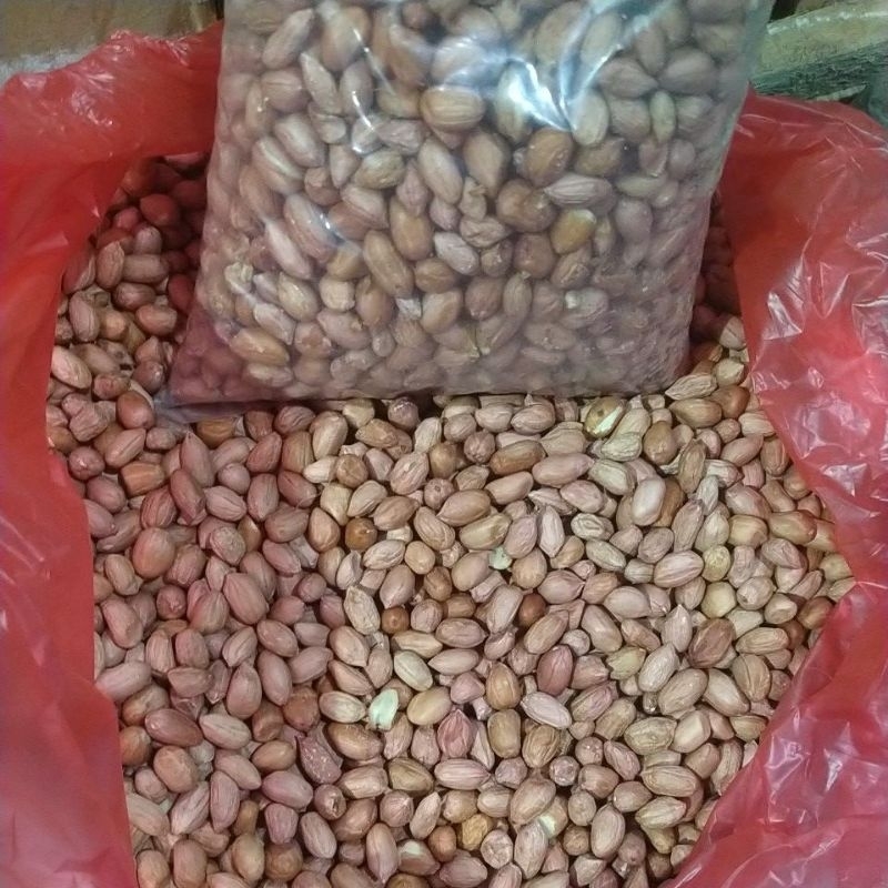 

Kacang Tanah