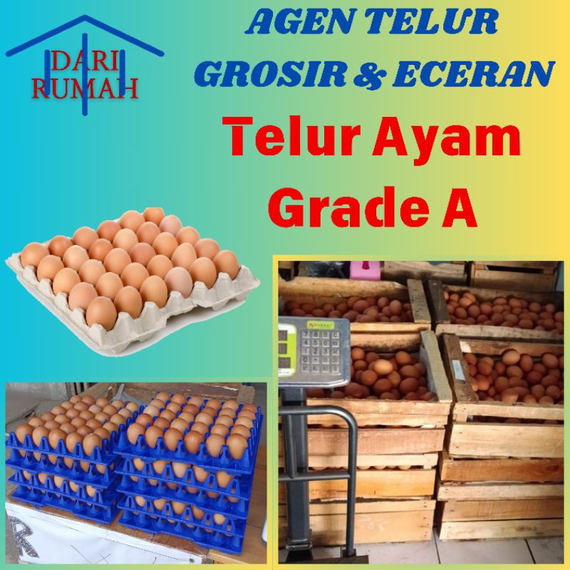 

TELUR AYAM NEGRI Grade A / Pilihan MURAH PER KG