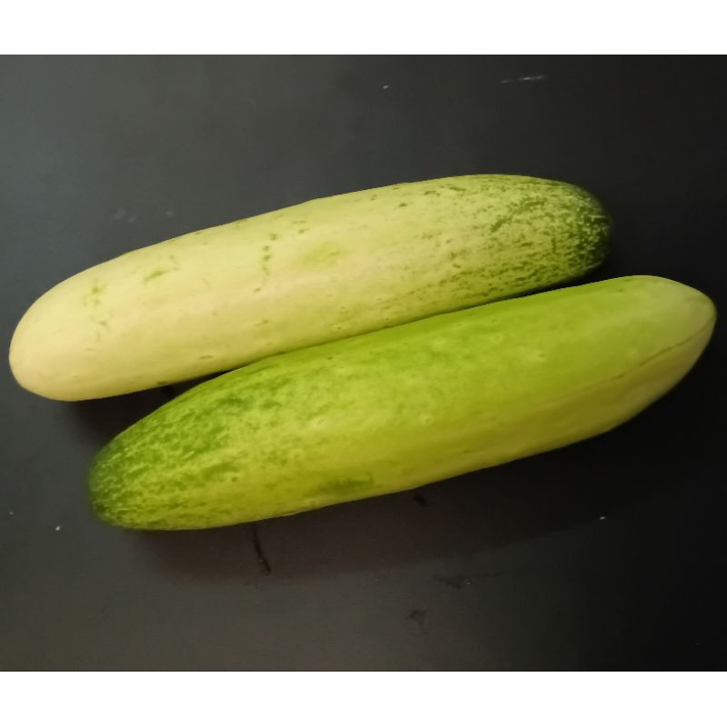 

Timun Lokal Organik ~500g, Cucumber