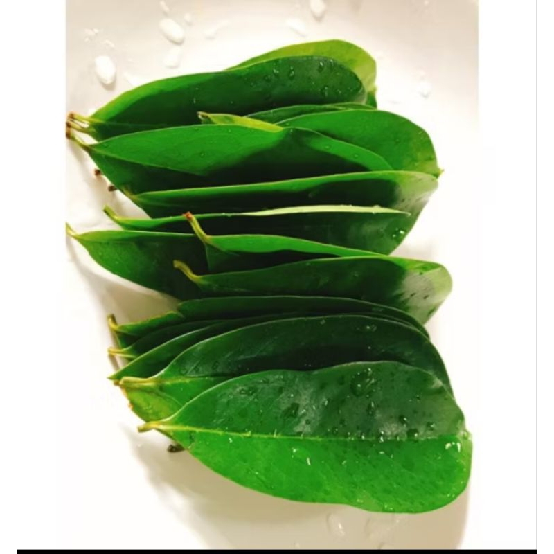 

Daun sirsak obat herbal tradisional untuk kanker, auto imun 250gr