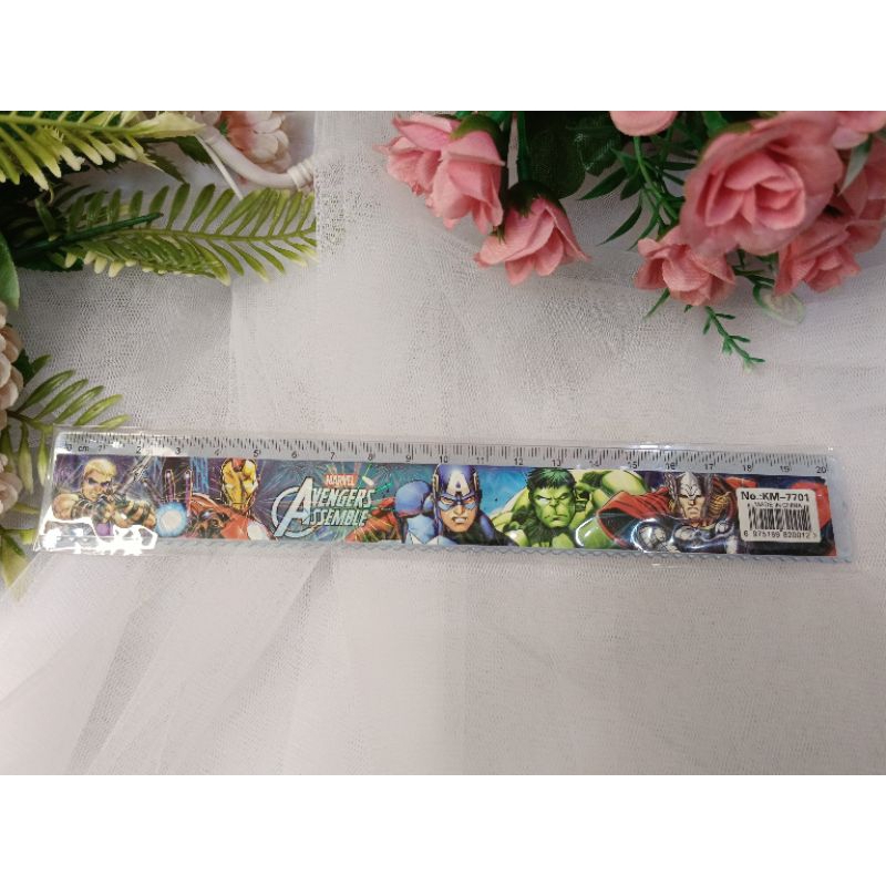 

penggaris plastik 20cm