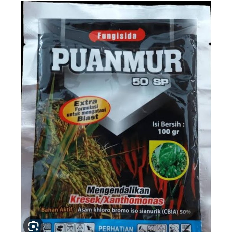 Puanmur 50 Sp 100 gram Bakterisida
