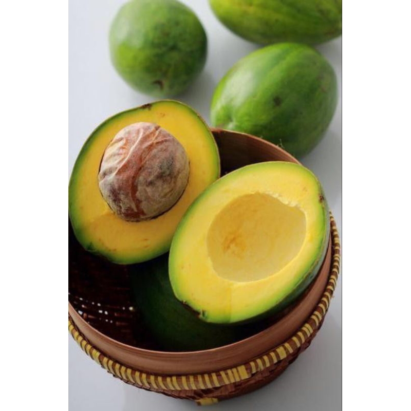

buah alpukat segar