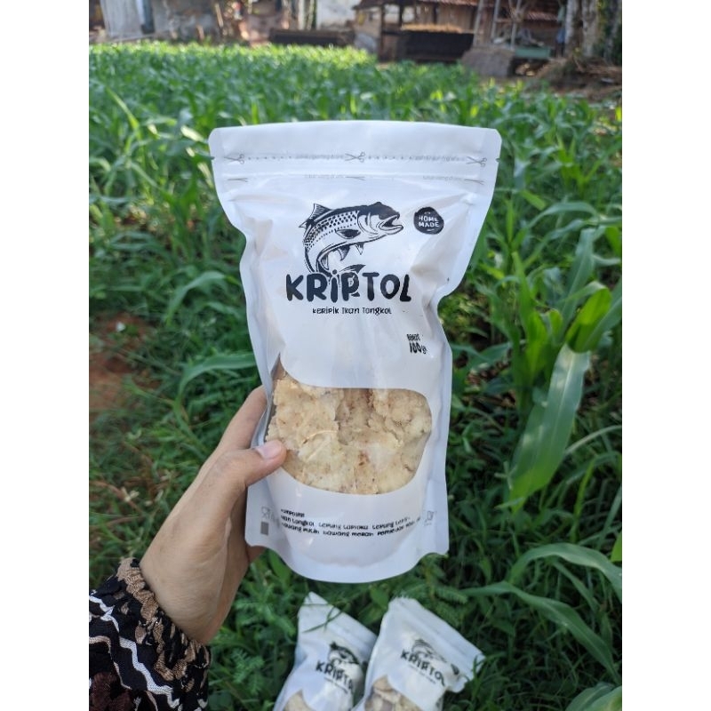 

kriptol (kripik tongkol)