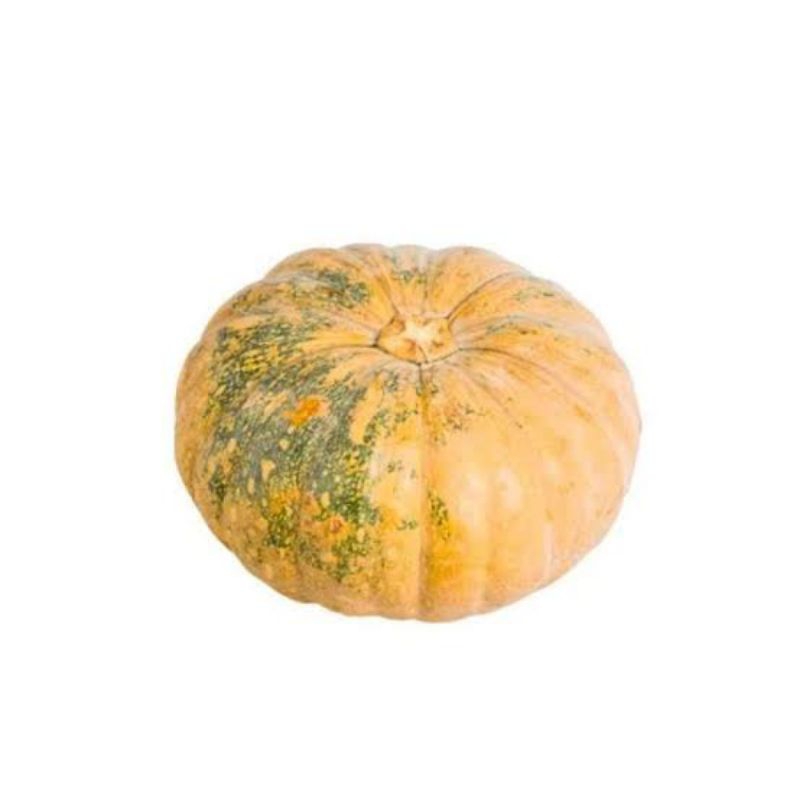 

Waluh / Labu Parang Besar Sedang Kecil / Labu Kuning