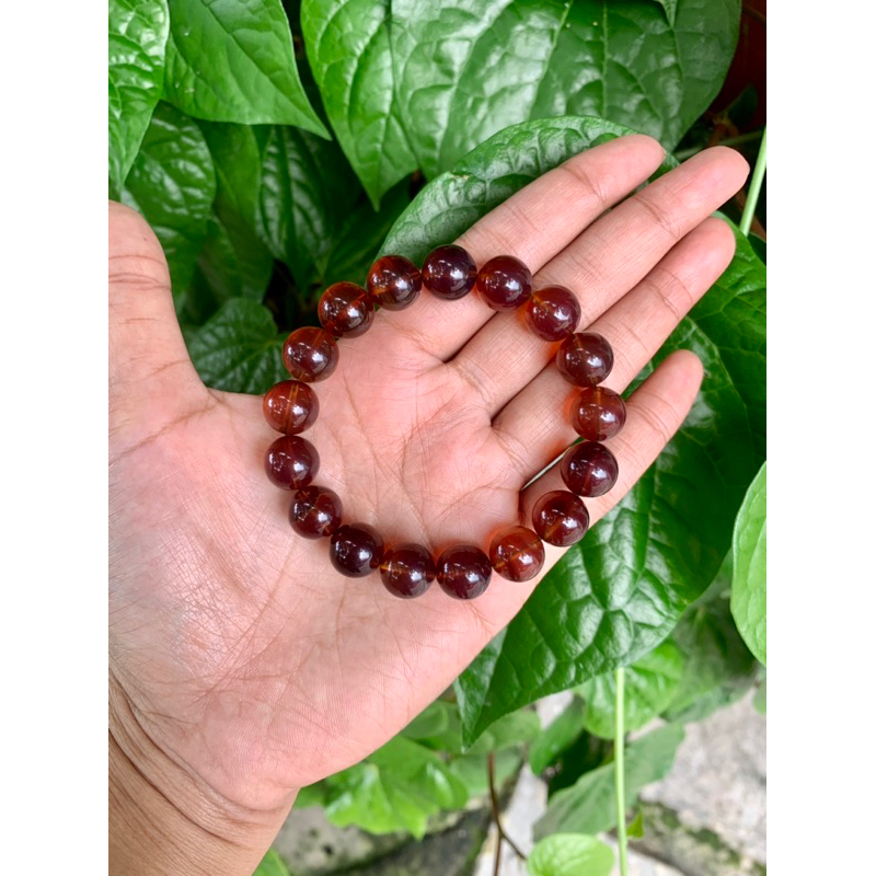 Amber taxol burma