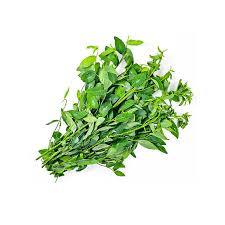 

daun katuk segar 1 ikat