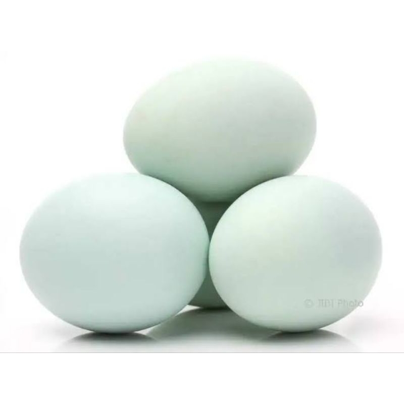 

Telur Bebek