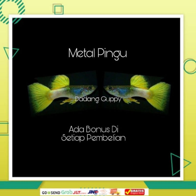 

Packing Styrofoam ( Metal Pingu )