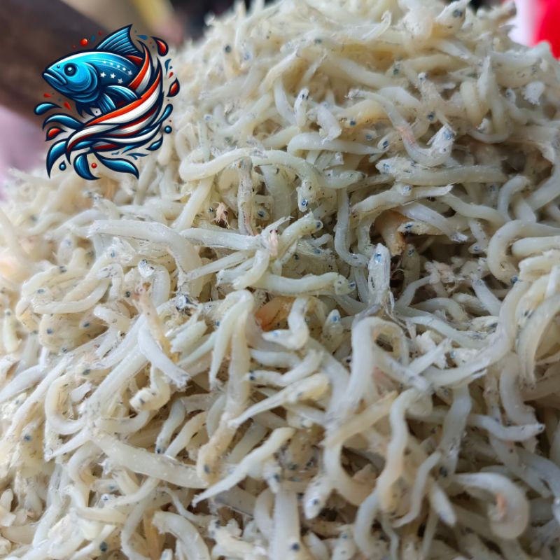 

Teri medan | ikan teri medan