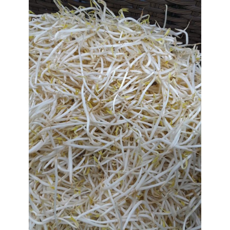 

touge bangkok/touge jepang 500gr