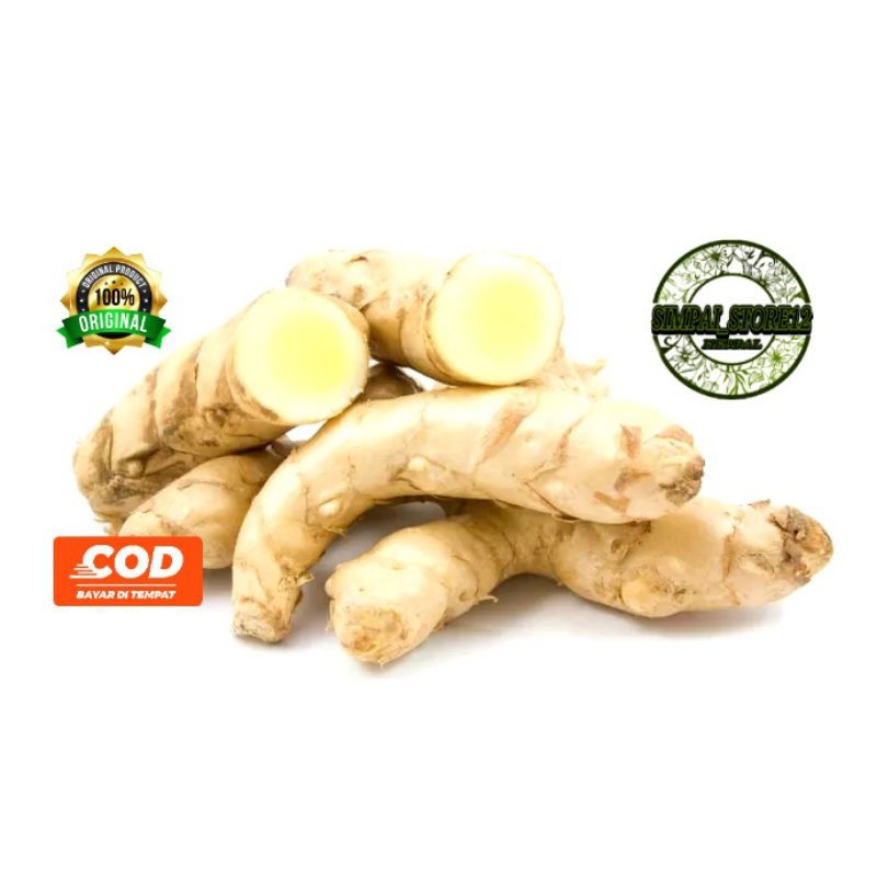 

KUNYIT PUTIH SEGAR 1KG TEMU PUTIH ATAU CURCUMA ZEDOARIA