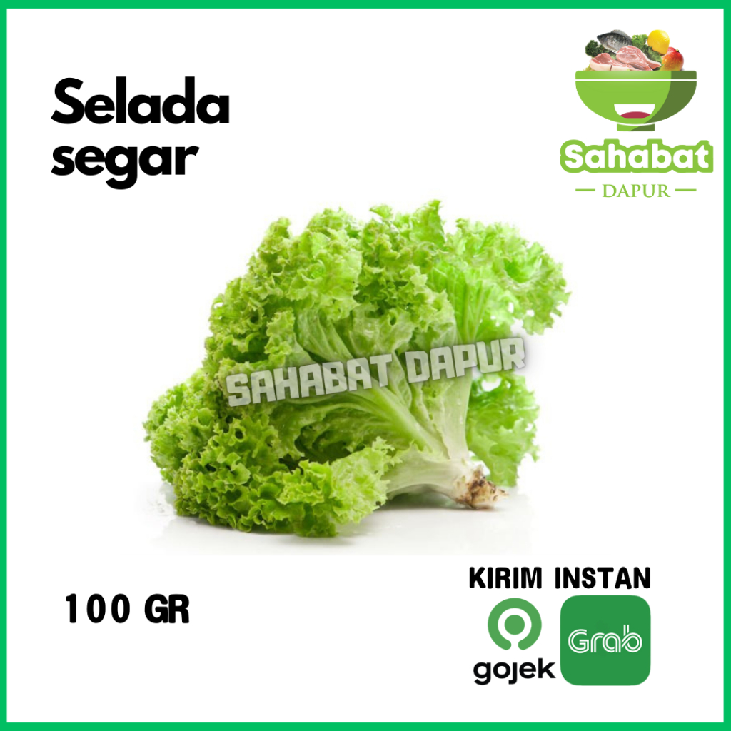 

Selada / Slada Segar 100gr - Sahabatdapur