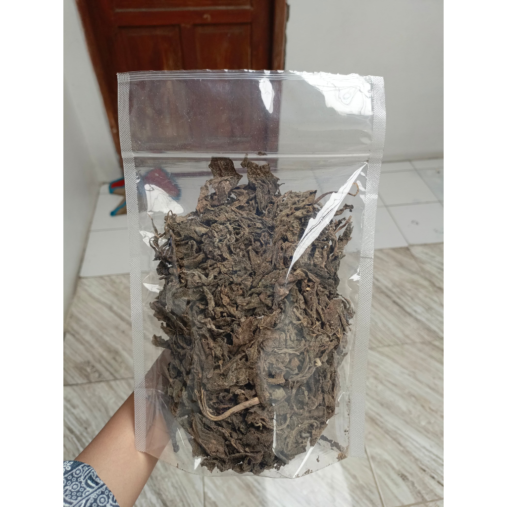 

TERMURAH 100gram Daun Dewa Kering Kwalitas Premium