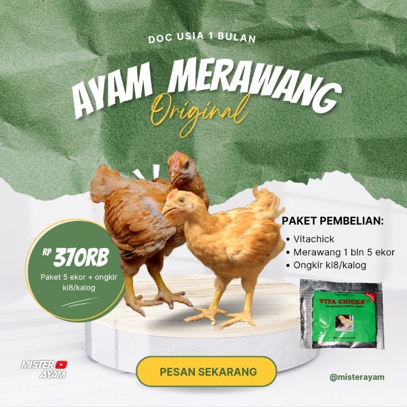 

MERAWANG 1BLN ISI 5