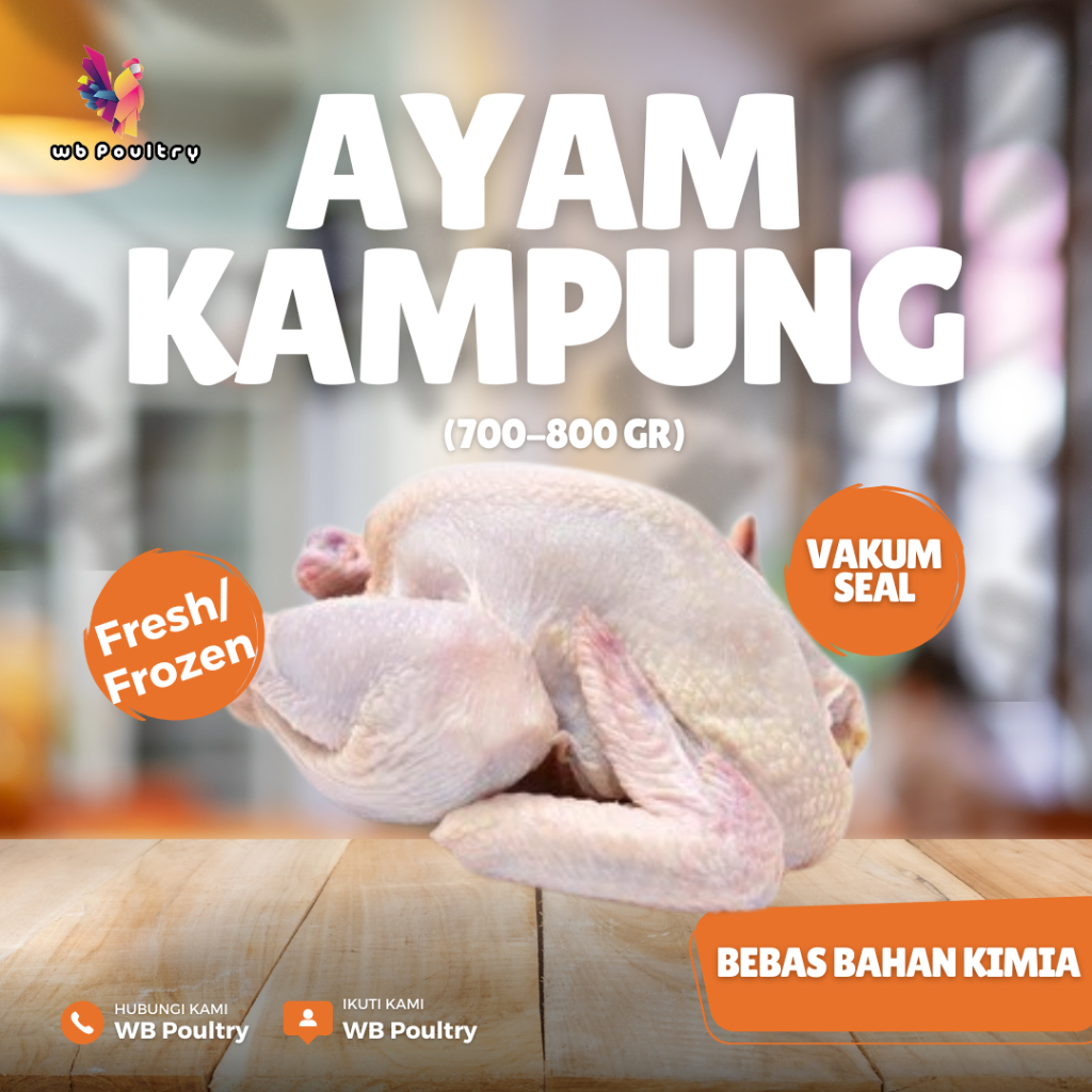 

Ayam Kampung WB Poultry Organik - Fresh/Frozen, Vakum/Vacuum Seal, Harga Murah, Sehat dan Premium