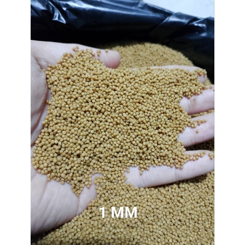 PAKAN SINTA // UNTUK IKAN LELE, NILA, GURAME, PATIN, DLL ( 1 KG )