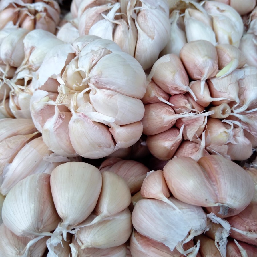 

Bawang Putih Fresh Pilihan Super