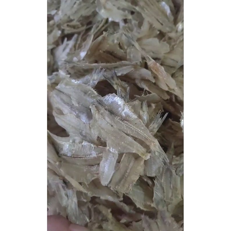 

Ikan Pakang (250 gr)