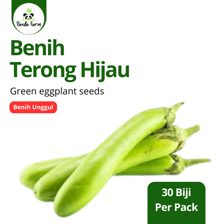bks Benih Biji Paket 50 Bungkus Benih Terong Hijau Lokal, Bibit Sayuran untuk Kebun dan Lahan Terbat