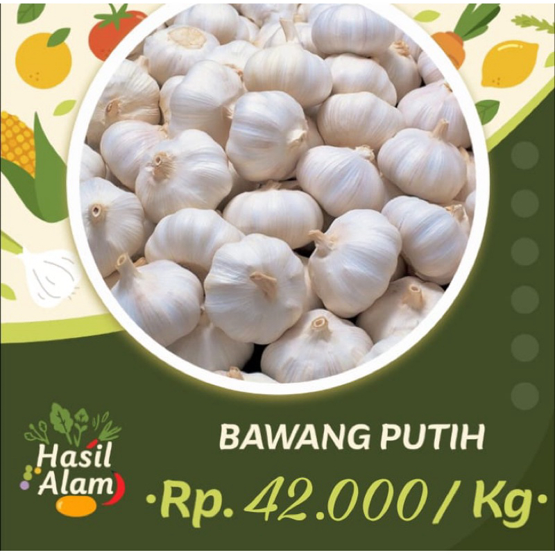 

Bawang Putih