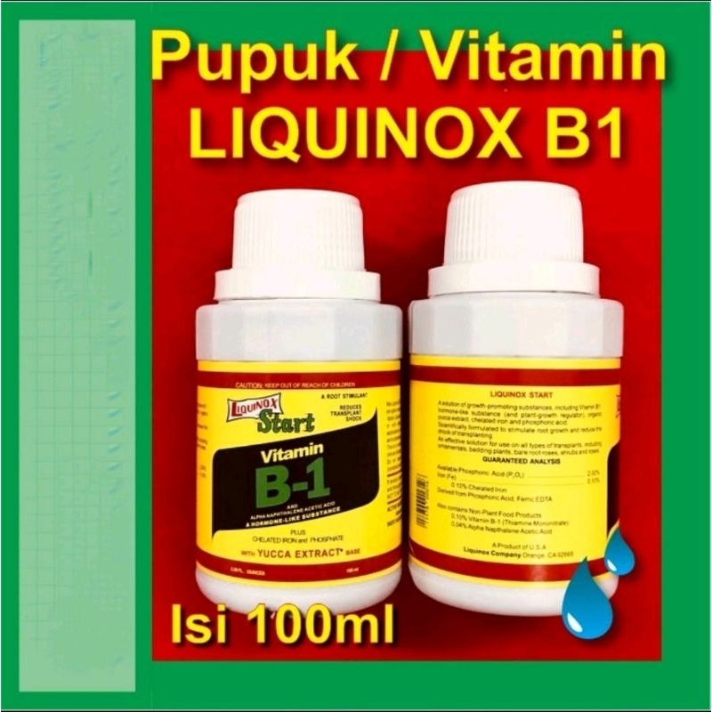 pupuk vitamin B1 / Liquinox B1