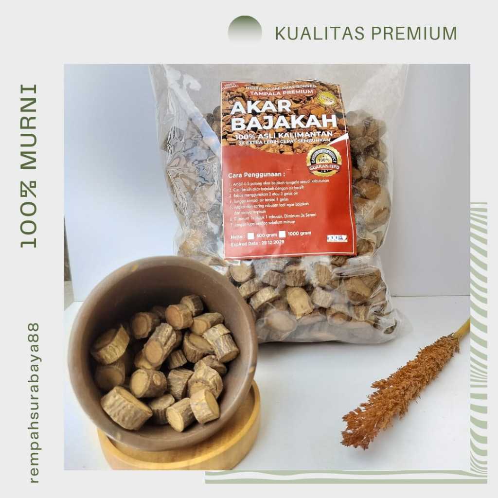 

AKAR BAJAKAH 100% ASLI KALIMANTAN TAMPALA PREMIUM