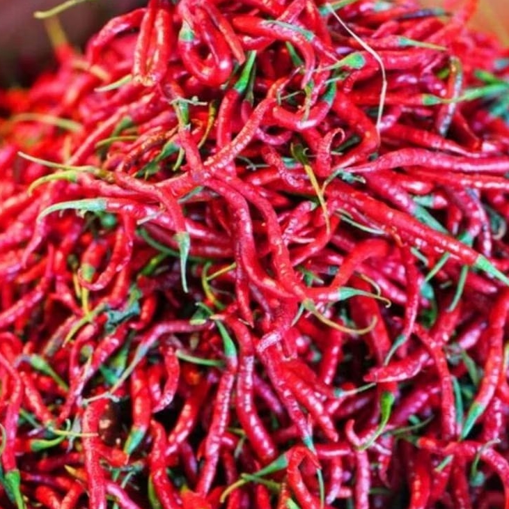 

cabai rawit hijau dan cabai merah segar