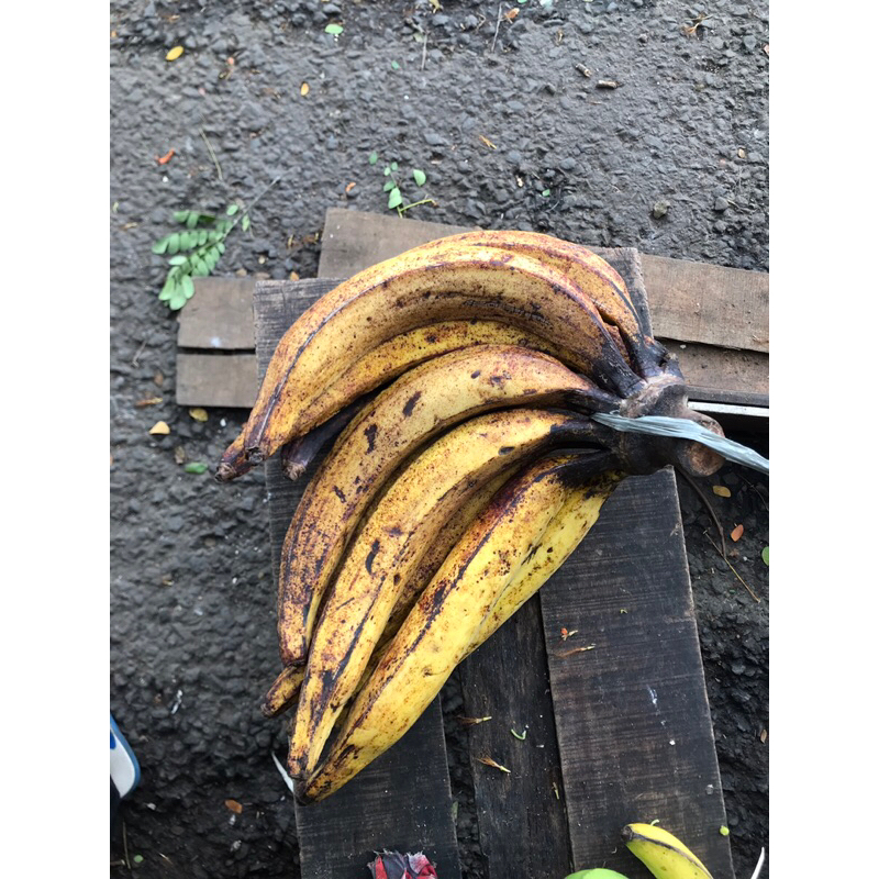 

Pisang Tanduk/galek murah, mateng, mentah, per kilo