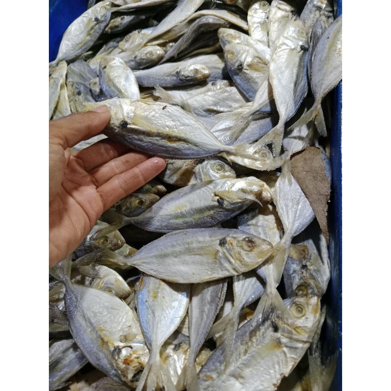 

ikan asin selar 100gr