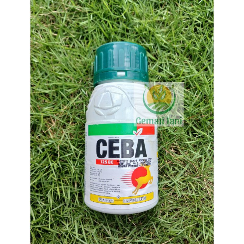 

CEBA 125EC 200ml, Insektisida Berbahan aktif dobel