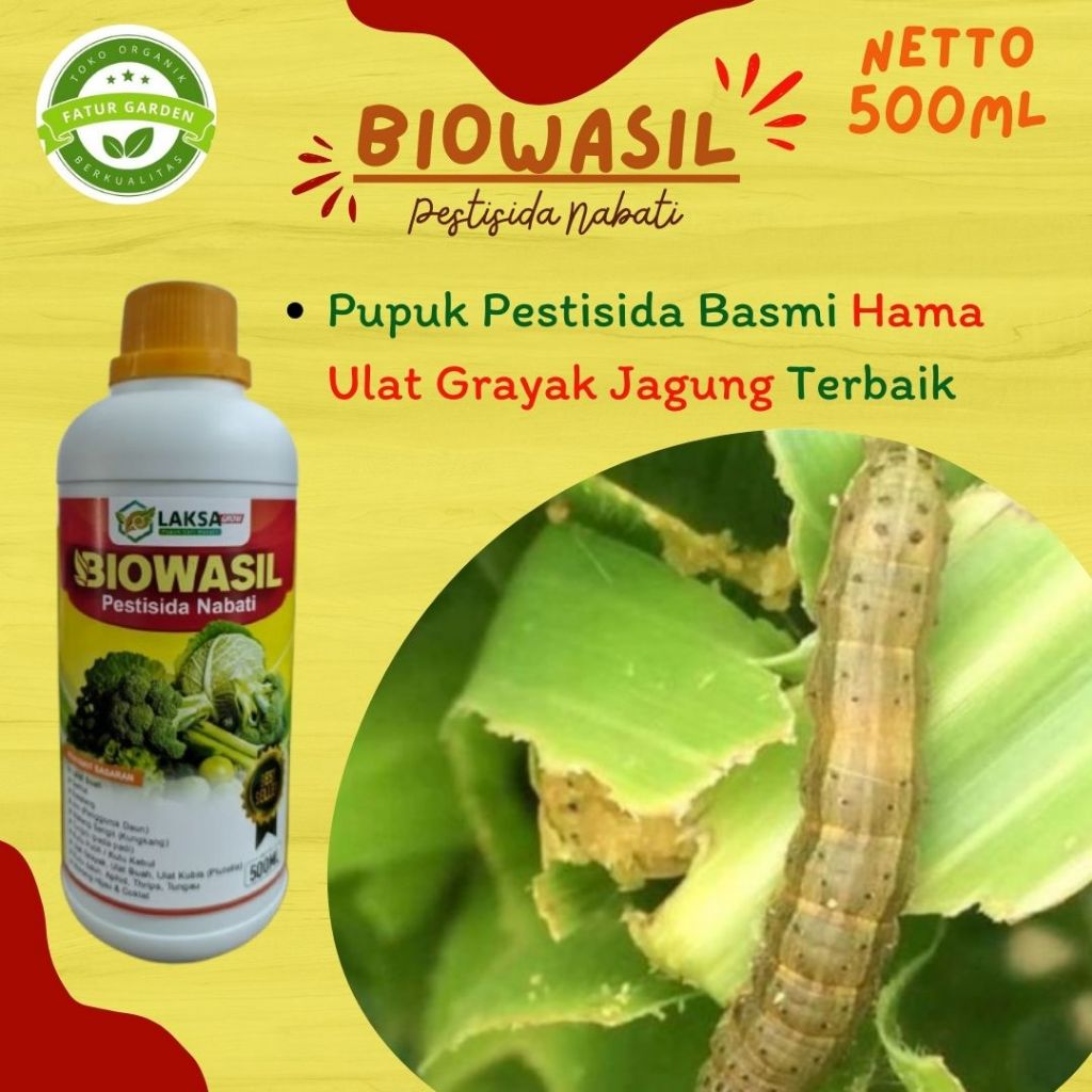 COD AMAN BIOWASIL Pestisida nabati basmi ulat jagung paling manjur - Obat ajaib untuk mengusir hama 