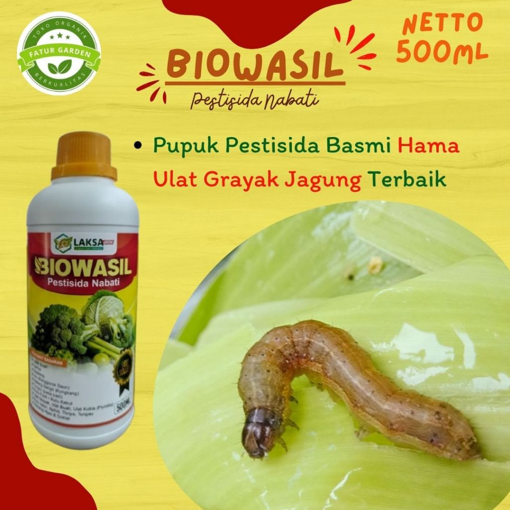 Obat basmi ulat grayak pada jagung terbaik - BIOWASIL 500ML - Pestisida ulat jagung terampuh