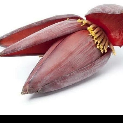 

Jantung pisang 1buah 800-1000gram