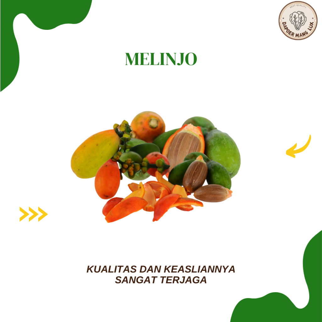 

DRIED SERBUK MELINJO BEST SELLER