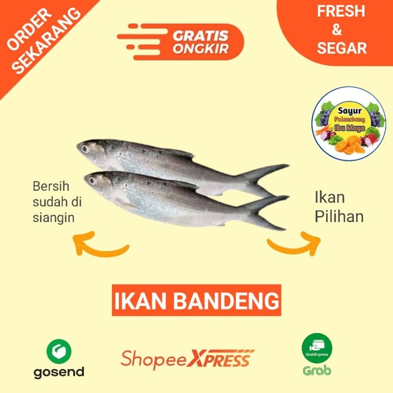 

Ikan Bandeng Segar - Sayur Palembang ibu maya