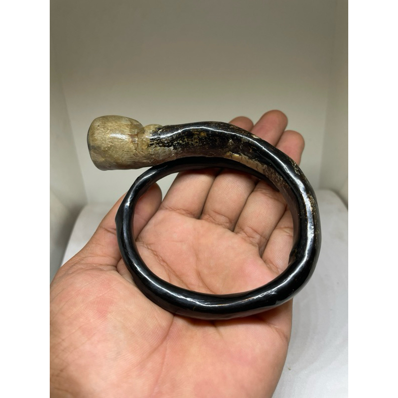 Gelang akar bahar hitam bonggol jumbo